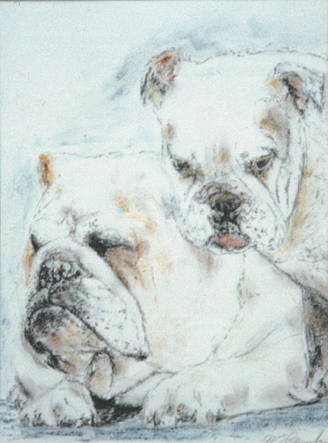 British Bulldogs - 