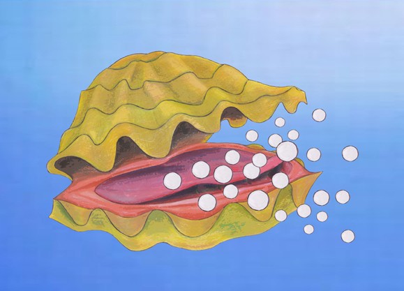 Ollie Oysters - 