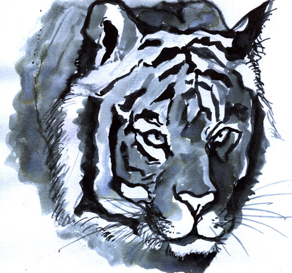 Tigers Head - 