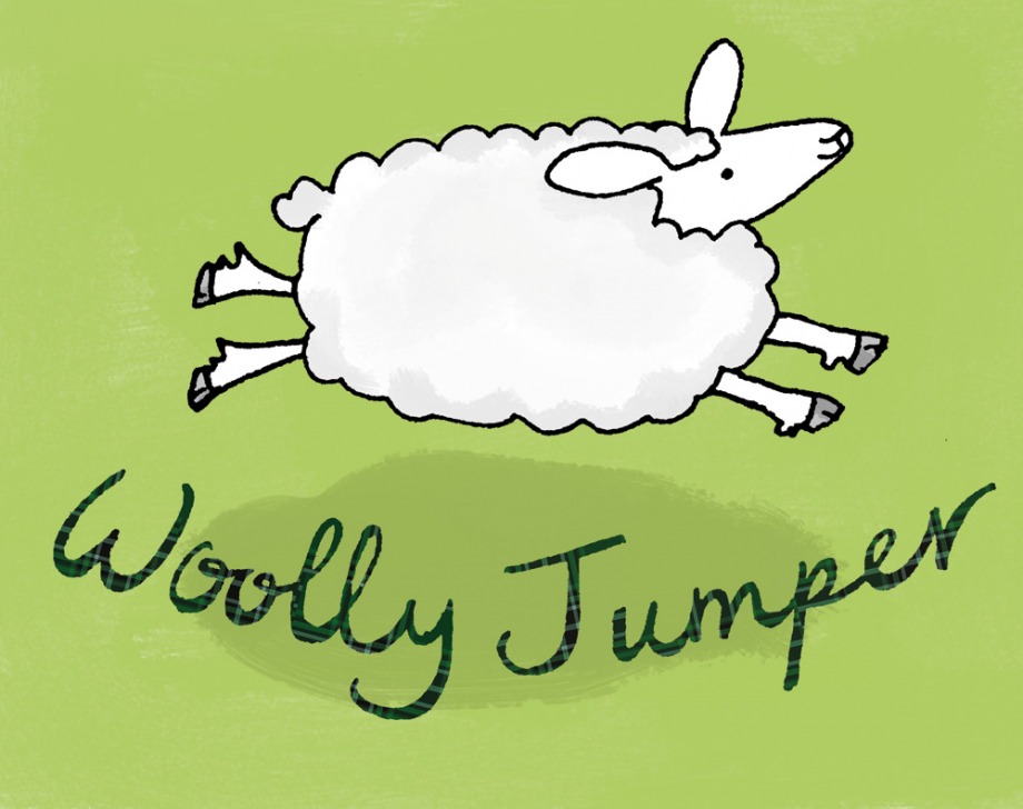 Woolly Jumper - 