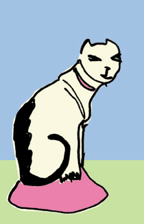 Cat - 