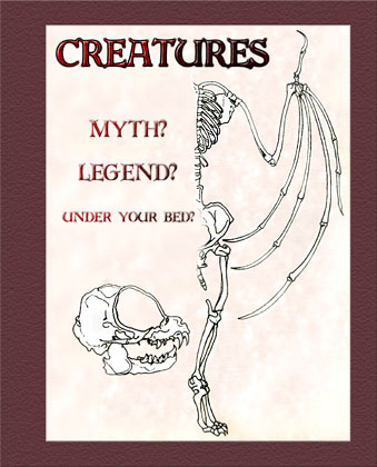 Cover Illustration - 