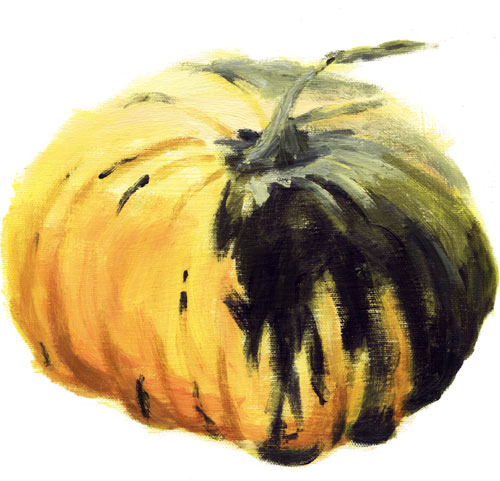 Saucer Squash - 