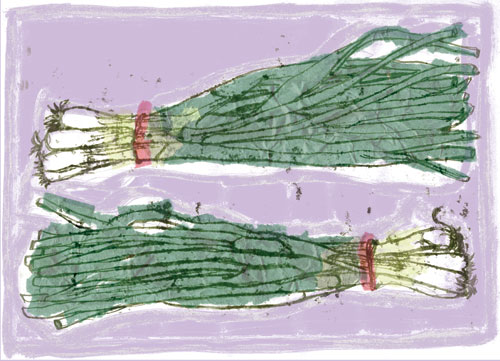 Spring Onions - 
