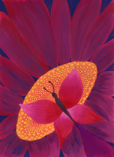 Butterfly - 