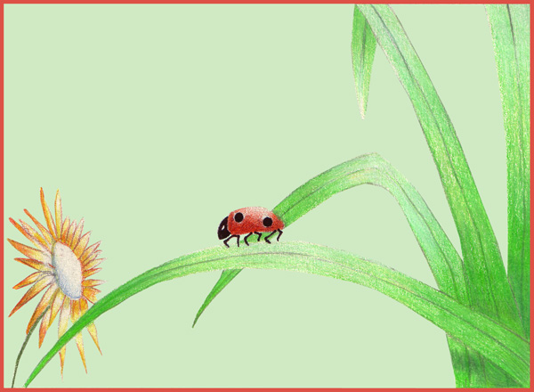 Ladybird 3 - 