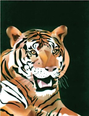 Tiger - 