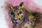 Leopard - 