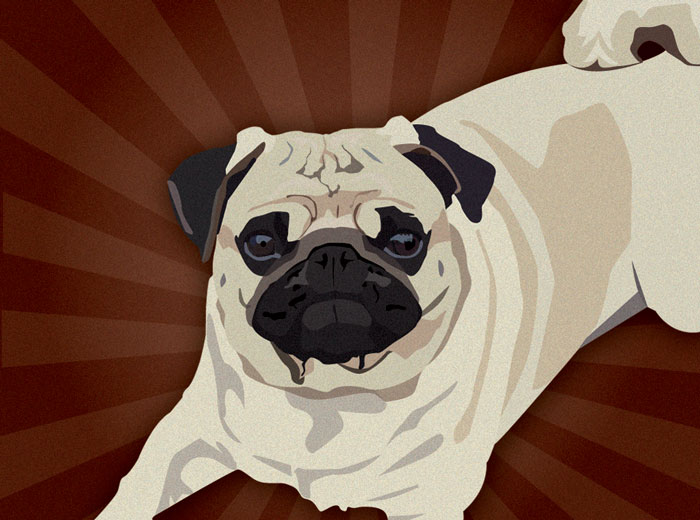 Pug Dog Illustration - 