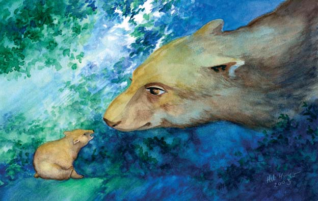 Mother Bear - 