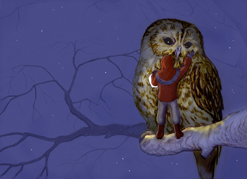 Owl - 