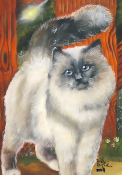 Cat - 