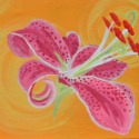 Pink Hibiscus by Corrine Lombardo Corriland