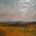 Buttercup Fields by Catherine Thomas