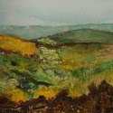 Summer Fields by Catherine Thomas