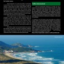 Editora Oce�nica � Jornal Drop by Caroline Lucena