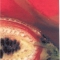 Ovary