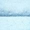 Polar Bearing