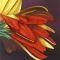 gerbera