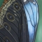 blue butterfly