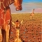 giraffe