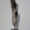 Fragment
