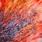 Explosion by Natalia Pietsch