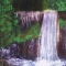 Nature untouched