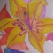 lilies from my birthday