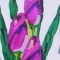 lilies