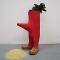 woody