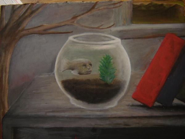 Dewies Perspective - 