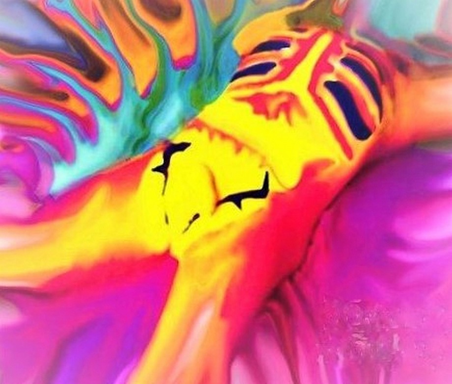Souix Warrior In Dreamland - 