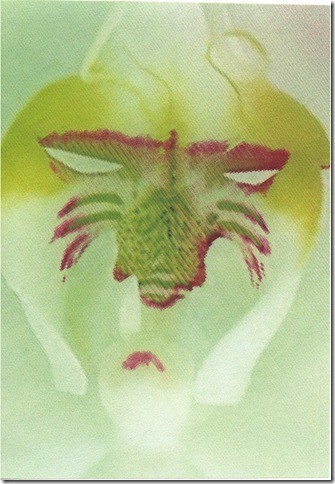 Mask - 