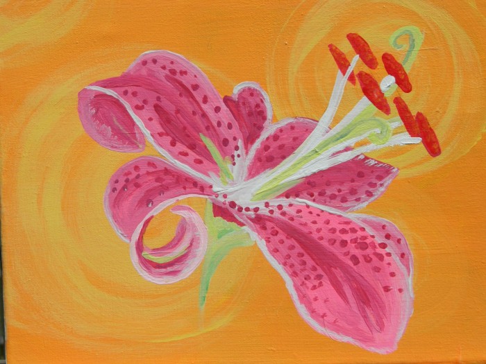 Pink Hibiscus - 