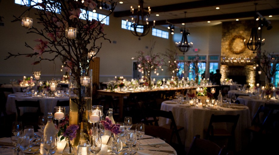 Charlottesville Wine Tours - 