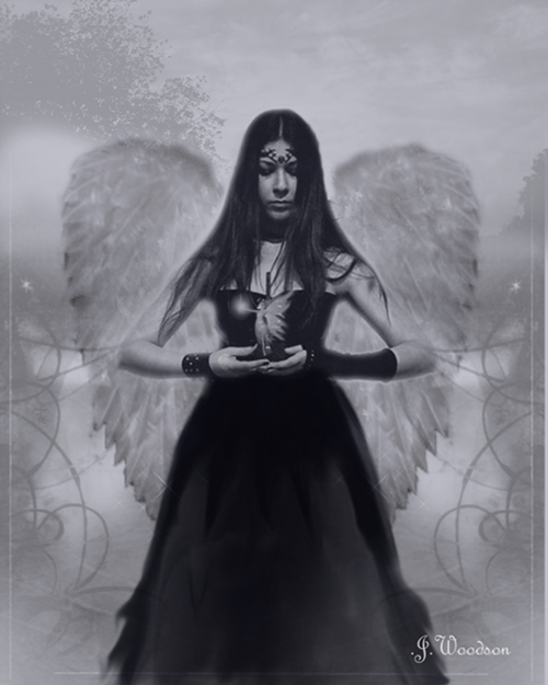 Fairy Queen - 