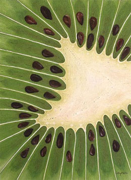 Dive In Kiwi - 