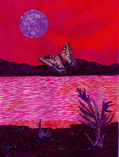 Fantasy Shore - 
