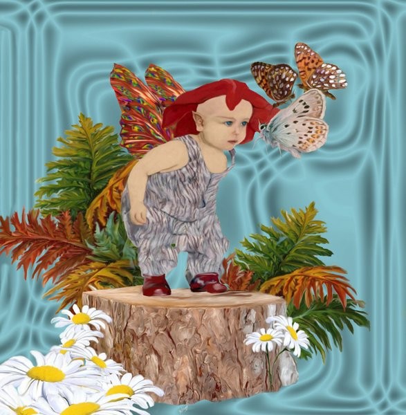 Butterfly - 