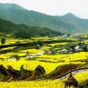 Jiangxi by Elaine Watson