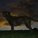 Uisge by Colin Hall