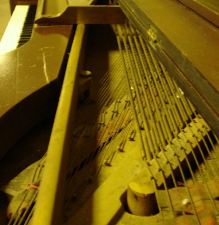 Strings by Lyndsey Bell