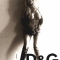 leggy