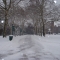 Snow Day