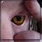 Cat Eyed