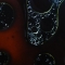 NUCLEOID REGIONS