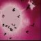 Apocalyptic Flight