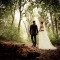 Wedding 1