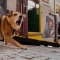 Hot Trolley Dog